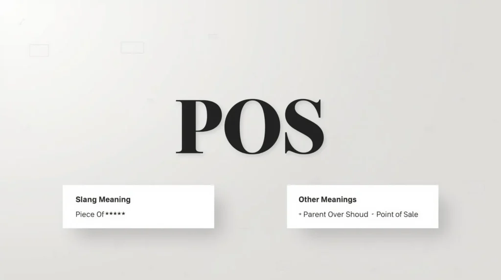 Minimalist blog header image showing the acronym “POS” in bold black typography, with labeled sections explaining the slang meaning “Piece of *****” and other meanings including “Parent Over Shoulder” and “Point of Sale.”
