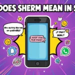 Gen Z–style colorful illustration showing a smartphone with a chat message about someone “acting like he’s on sherm” and another message asking “What does that mean?”, surrounded by emojis and social media icons representing internet slang in texting.