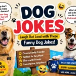 A colorful and playful infographic featuring two happy dogs, humorous dog jokes, and bold text. The image includes dog-themed illustrations, speech bubbles, and paw prints, creating a fun and family-friendly vibe.