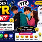 Anime-style infographic explaining the meaning of NTR slang, featuring chat examples, betrayal theme visuals, social media icons, and colorful text about how NTR is used in online conversations and memes.