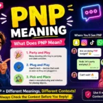 PNP Meaning Explained: Text, Slang & Chat Guide