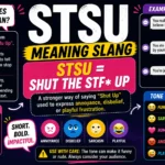 TSU meaning slang infographic showing “STSU = Shut The STFU Up” with bold text, chat examples, tone variations, and platform usage icons.