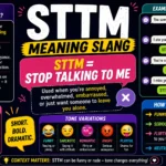 STTM meaning slang infographic showing “STTM = Stop Talking To Me” with colorful chat examples, tone variations, social media icons, and texting reply ideas.