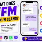 Colorful featured image explaining “What Does YFM Mean in Slang?” with the meaning “You Feel Me?” shown beside a smartphone chat conversation, social media icons, and modern Gen Z texting design elements.