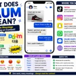 Illustrated infographic explaining the meaning of “Daum” with multiple interpretations, including the Korean web portal Daum and internet slang usage. The image features a smartphone chat conversation, social media platform icons (TikTok, Instagram, Snapchat, WhatsApp), tone variations, comparison terms, and visual examples showing how “Daum” is used in text messages, online chats, and digital communication.