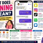 Colorful infographic explaining the meaning of “feening” in slang, featuring a smartphone chat example, social media icons, tone variations, texting examples, reply suggestions, and illustrations showing that “feening” means strongly craving or wanting something.