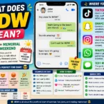 What Does MDW Mean infographic showing the meaning of MDW (Memorial Day Weekend) with a smartphone chat example, social media platform icons, holiday planning tips, texting examples, and summer-themed visuals including a beach, palm trees, sunshine, and travel elements.