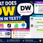 Colorful infographic showing the meaning of DW in text messages. The image explains that DW stands for "Don't Worry," includes real texting examples, social media platform icons, common meanings, how to reply to DW, and usage in Snapchat, Instagram, TikTok, WhatsApp, and chat conversations.