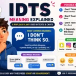 IDTS meaning infographic explaining "I Don't Think So" with possible meanings, texting examples, social media platforms, and a thoughtful cartoon character showing doubt.