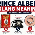 "Prince Albert slang meaning infographic featuring the historical Prince Albert, tobacco brand, prank call reference, body piercing symbol, and Prince Albert, Saskatchewan, explaining the term's multiple meanings."